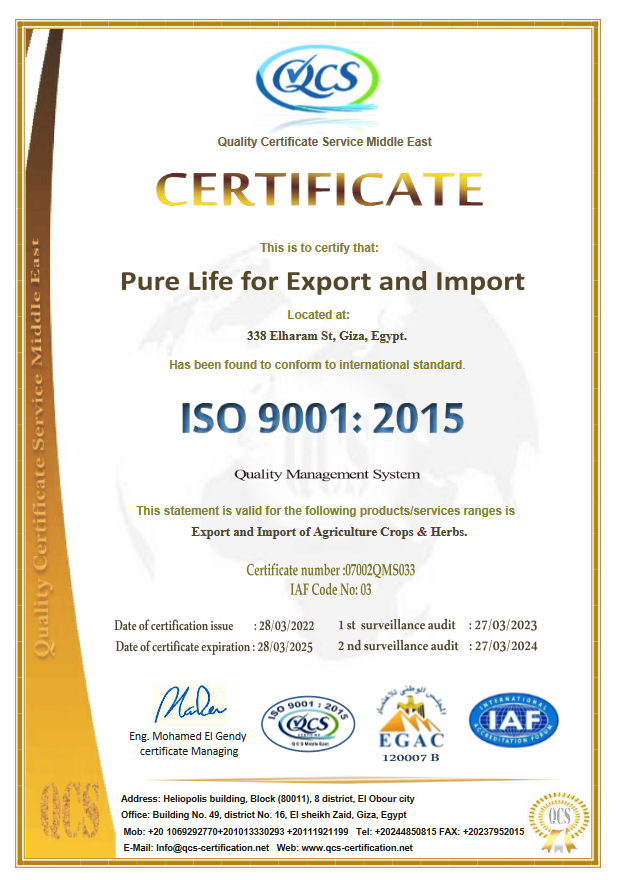 Certificate 1